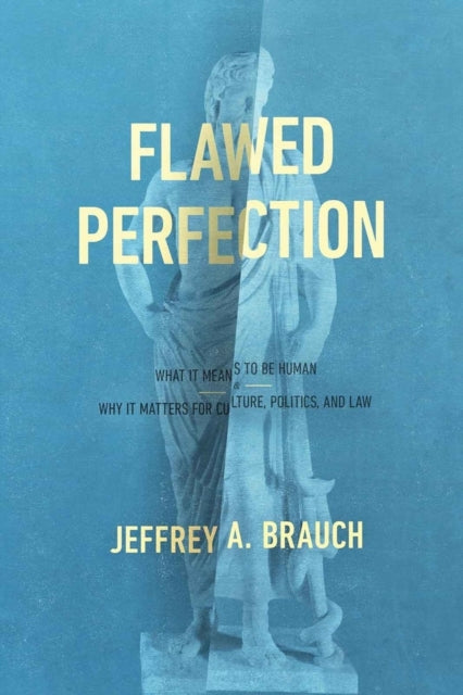 Book cover of: Flawed Perfection. By: David Beldman