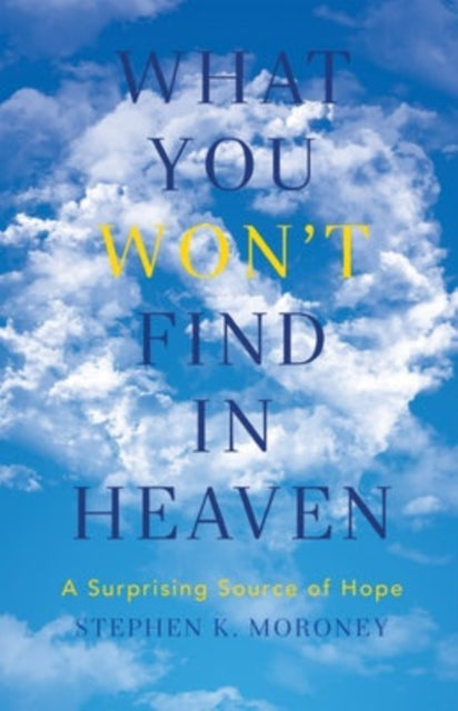 Book cover of: What You WON'T Find in Heaven. By: Stephen K. Moroney