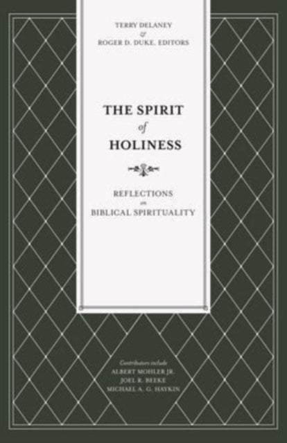 Book cover of: Spirit of Holiness. By: Terry Delaney