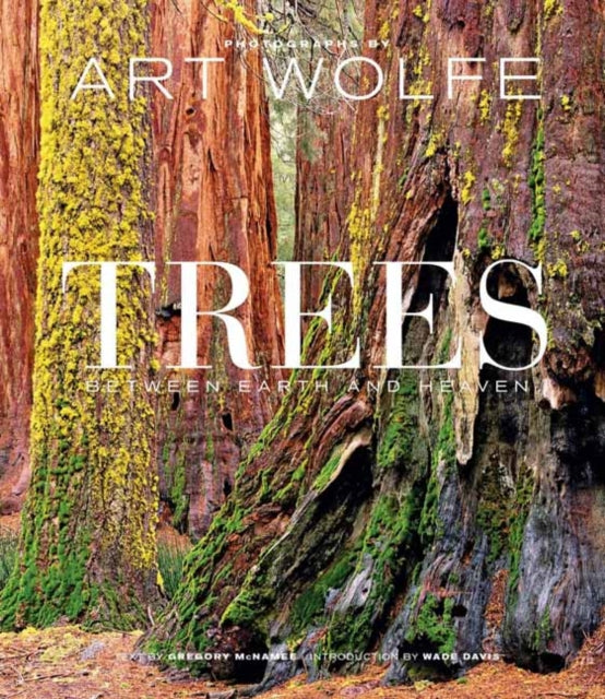 Book cover of: Trees. By: Art Wolfe