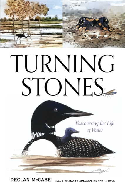 Book cover of: Turning Stones. By: Declan McCabe