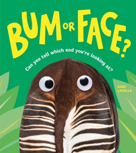 Bum or Face 9781728292908 Kari Lavelle