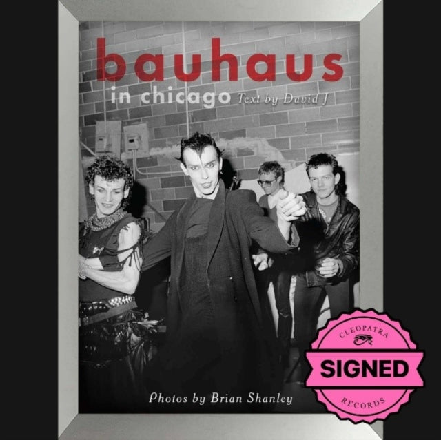 Bauhaus In Chicago