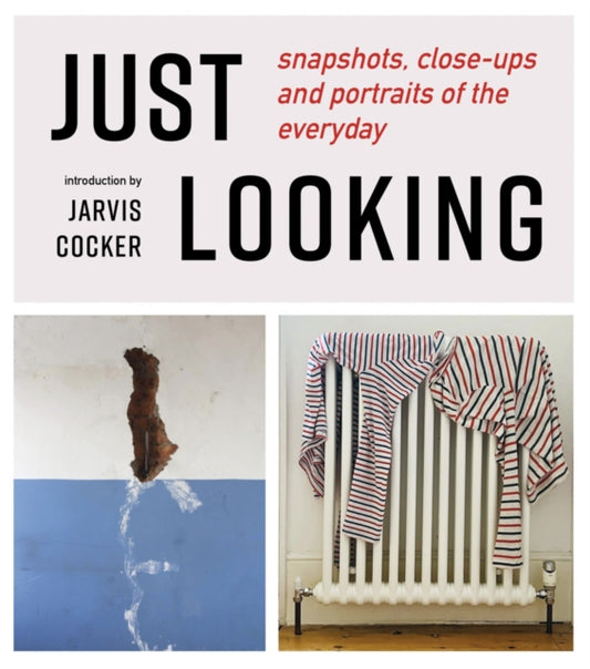 JUST LOOKING, snapshots, close-ups and portraits of the everyday 9781739597641 Julian Rothenstein