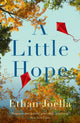 Book cover of: Little Hope. By: Ethan Joella