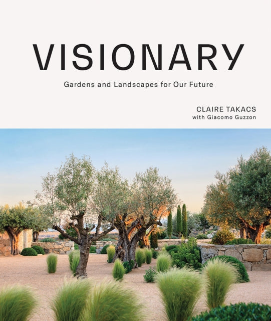 Book cover of: Visionary. By: Claire Takacs