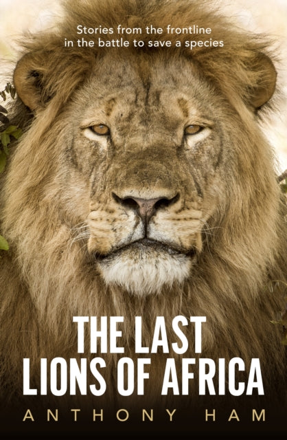 Book cover of: Last Lions of Africa. By: Anthony Ham
