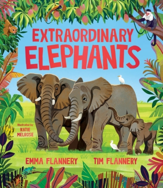 Extraordinary Elephants 9781761211713 Tim Flannery