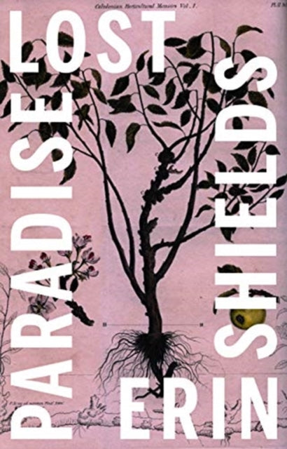 Book cover of: Paradise Lost. By: Erin Shields