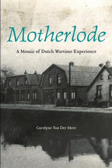 Book cover of: Motherlode. By: Carolyne Van Der Meer