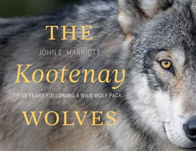 Book cover of: Kootenay Wolves. By: John E. Marriott