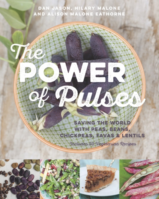 Book cover of: Power of Pulses. By: Dan Jason