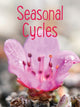 Book cover of: Seasonal Cycles. By: Nadia Mike