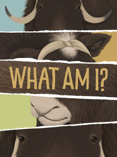Book cover of: What Am I?. By: Amanda Sandland