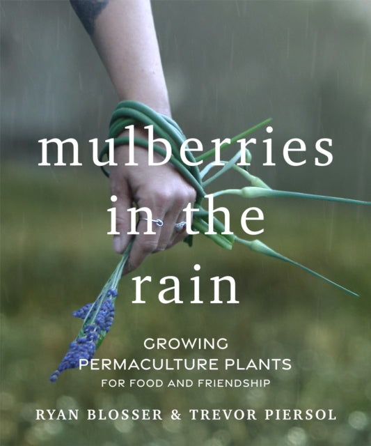 Book cover of: Mulberries in the Rain. By: Ryan Blosser