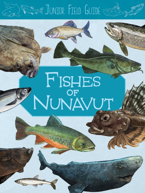 Book cover of: Junior Field Guide: Fishes of Nunavut. By: Jordan Hoffman