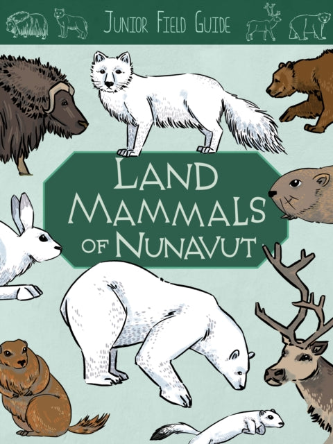 Book cover of: Junior Field Guide: Land Mammals. By: Jordan Hoffman