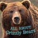 Book cover of: All about Grizzly Bears. By: Jordan Hoffman