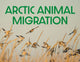 Book cover of: Arctic Animal Migration. By: Arvaaq Press