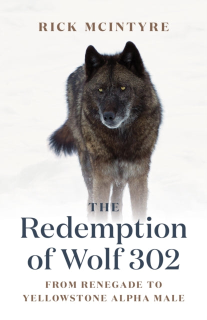 Book cover of: Redemption of Wolf 302. By: Rick McIntyre
