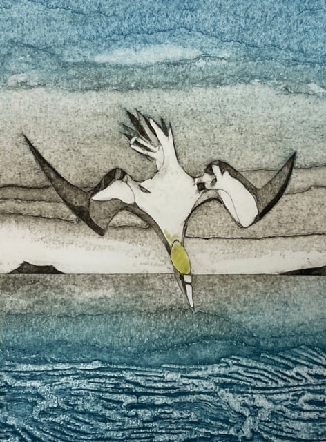 Book cover of: Wild Birds Pocket Notebook: Gannet. By: Sarah Ross-Thompson