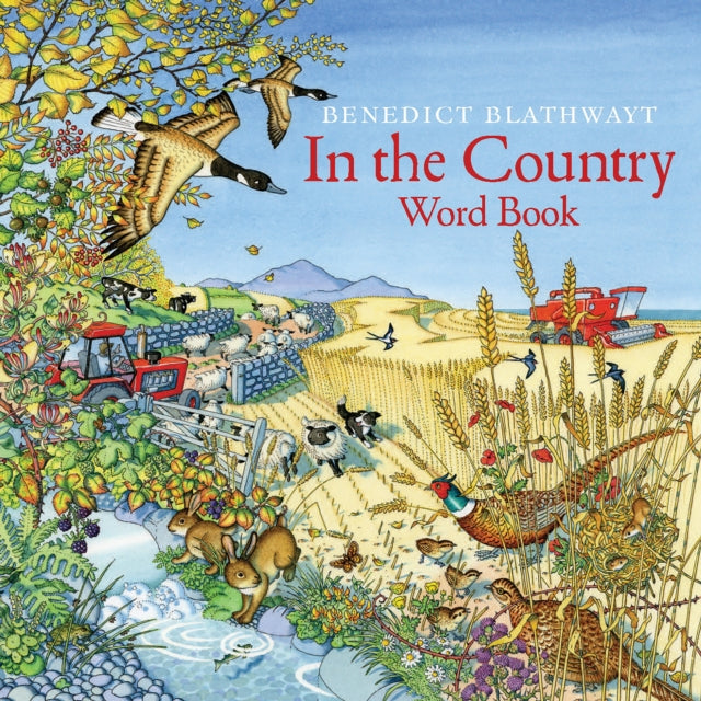Book cover of: In the Country