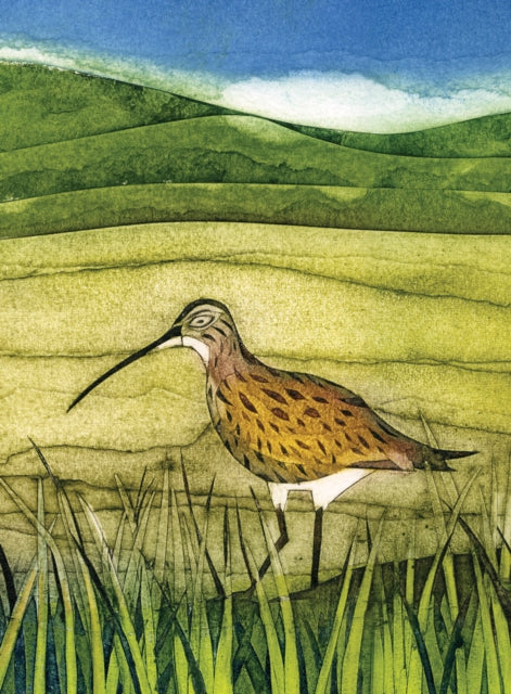 Book cover of: Wild Birds Pocket Notebook: Curlew