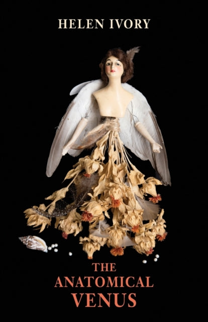 Book cover of: Anatomical Venus. By: Helen Ivory