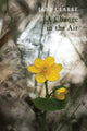 Book cover of: Change in the Air. By: Jane Clarke
