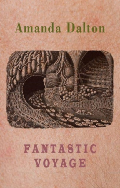 Book cover of: Fantastic Voyage. By: Amanda Dalton