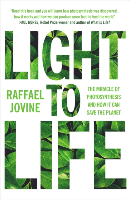 Book cover of: Light to Life. By: Raffael Jovine