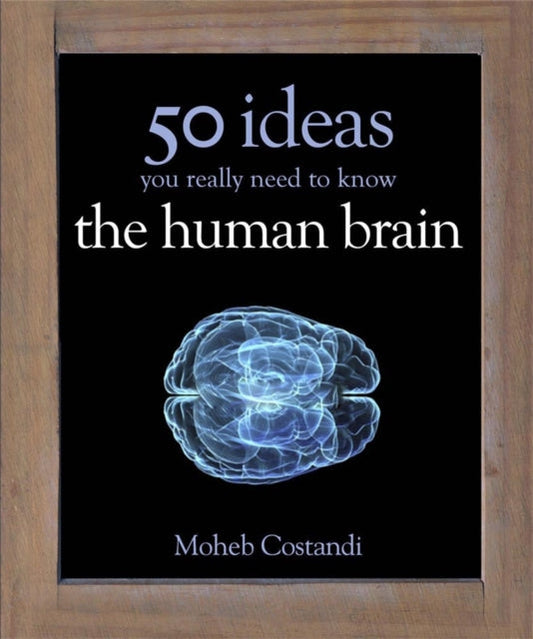 Book cover of: 50 Human Brain Ideas You Really Need to Know. By: Moheb Costandi