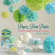 Book cover of: Paper Pom Poms. By: Paula Pascual
