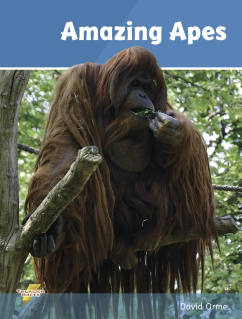 Book cover of: Amazing Apes. By: David Orme