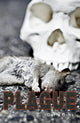 Book cover of: Plague. By: David Orme