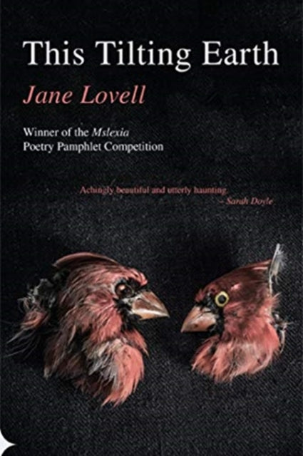 Book cover of: This Tilting Earth. By: Jane Lovell