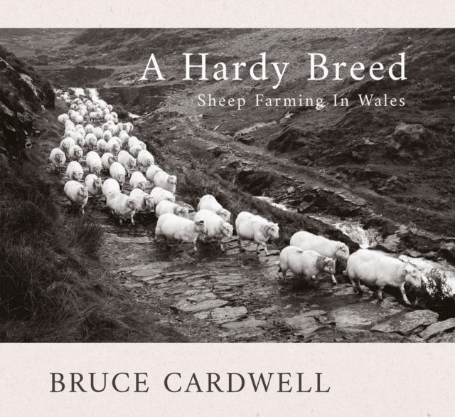 Book cover of: Hardy Breed. By: CARDWELL