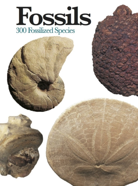 Book cover of: Fossils