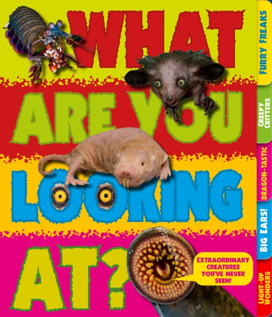 Book cover of: What Are You Looking At?. By: Sara Stanford