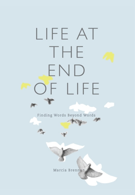 Book cover of: Life at the End of Life. By: Marcia Brennan