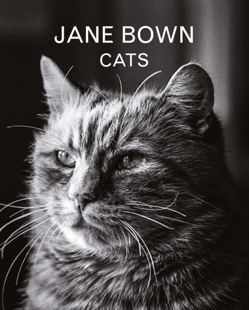 Book cover of: Jane Bown: Cats. By: Jane Bown