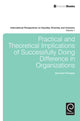Book cover of: Practical and Theoretical Implications of Successfully Doing Difference in Organizations. By: Donnalyn Pompper
