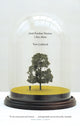 Book cover of: Until Further Notice, I Am Alive. By: Tom Lubbock