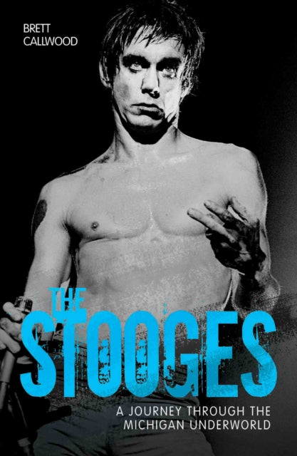 Book cover of: Stooges - Head On: A Journey Through the Michigan Underworld. By: Brett Callwood