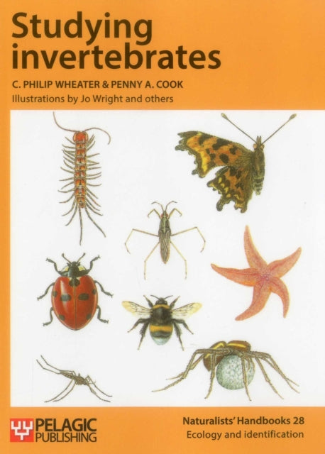Book cover of: Studying Invertebrates. By: C. Philip Wheater