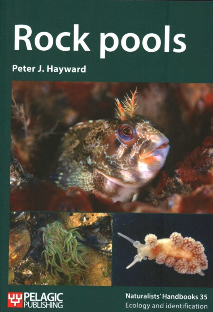Book cover of: Rock pools. By: Peter J. Hayward