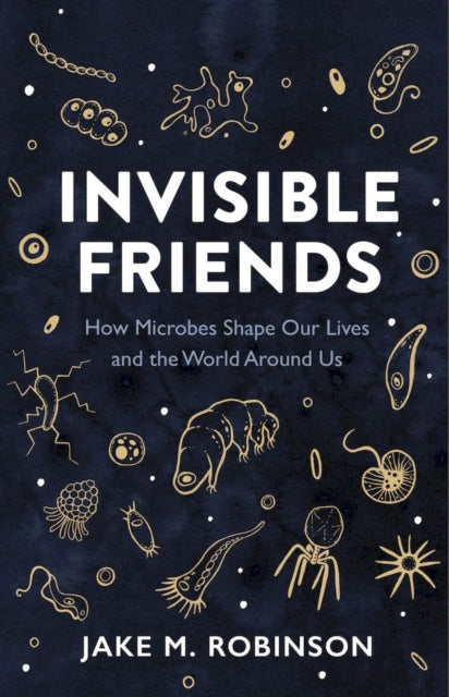 Book cover of: Invisible Friends