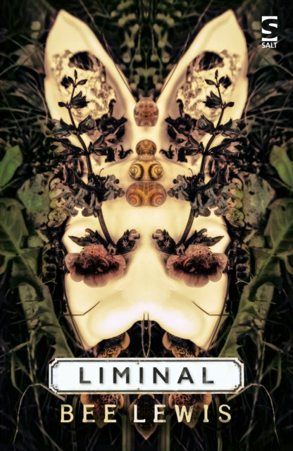 Book cover of: Liminal. By: Bee Lewis