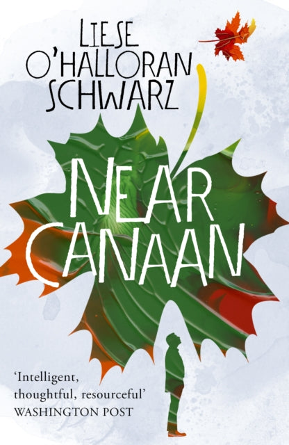 Book cover of: Near Canaan. By: Liese O'Halloran Schwarz