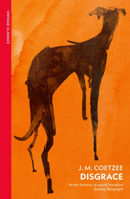 Disgrace, A BBC Radio 4 Good Read 9781784879051 J. M. Coetzee
